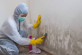 Best Black Mold Removal  in Cardington, OH